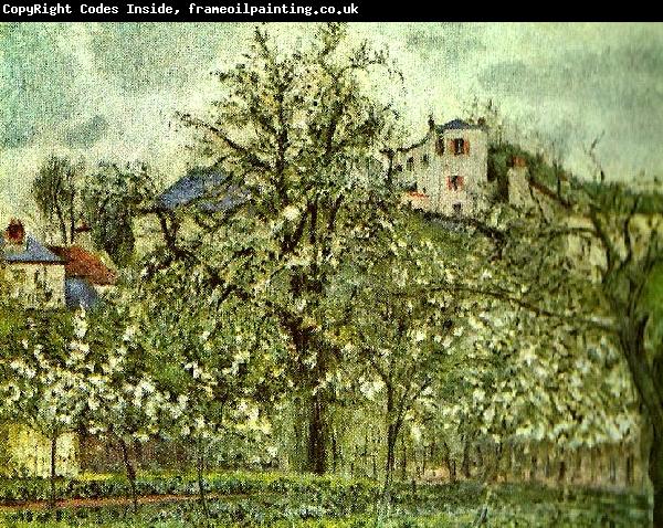 Camille Pissarro handelstradgard med blommande trad